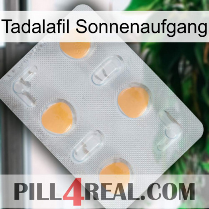 Tadalafil Sunrise 24